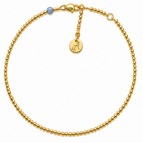 Anchord Signature Anklet Pre-Order